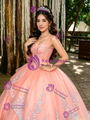 Orange Tulle Appliques Straps Prom Dress