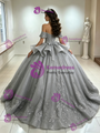Gray Tulle Off the Shoulder Appliques Quinceanera Dress