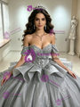 Gray Tulle Off the Shoulder Appliques Quinceanera Dress