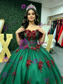 Green Tulle Appliques Quinceanera Dress