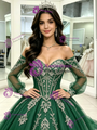 Green Tulle Long Sleeve Appliques Quinceanera Dress