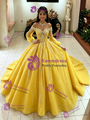 Yellow Tulle Long Sleeve Sequins Quinceanera Dress