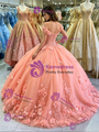 Orange Tulle Off the Shoulder Appliques Quinceanera Dress