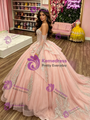 Pink Tulle  Long Sleeve Appliques Quinceanera Dress