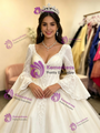 White Tulle Long Sleeve Appliques Quinceanera Dress