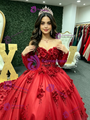 Red Tulle Long Sleeve Appliques Quinceanera Dress