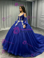 Blue Tulle Long Sleeve Appliques Quinceanera Dress