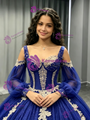 Blue Tulle Long Sleeve Appliques Quinceanera Dress