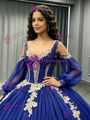 Blue Tulle Long Sleeve Appliques Quinceanera Dress