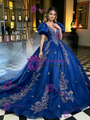 Blue Tulle Puff Sleeve Appliques Quinceanera Dress