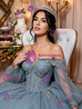Blue Tulle Long Sleeve Appliques Quinceanera Dress