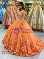 Orange Tulle Off the Shoulder Appliques Quinceanera Dress