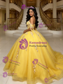 Yellow Tulle Off the Shoulder Appliques Quinceanera Dress