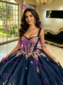 Navy Blue Tulle Appliques Quinceanera Dress