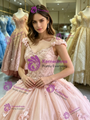 Pink Tulle Off the Shoulder Appliques Quinceanera Dress