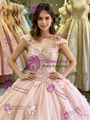 Pink Tulle Off the Shoulder Appliques Quinceanera Dress