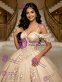 Champagne Tulle Appliques Quinceanera Dress
