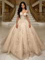 Champagne Tulle Appliques Quinceanera Dress