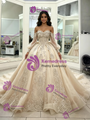 Champagne Tulle Appliques Long Sleeve Quinceanera Dress