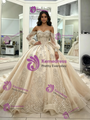 Champagne Tulle Appliques Long Sleeve Quinceanera Dress