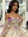 Champagne Tulle Appliques Long Sleeve Quinceanera Dress