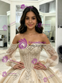 Champagne Tulle Appliques Long Sleeve Quinceanera Dress
