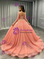 Oragen Tulle Long Sleeve Quinceanera Dress