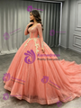 Oragen Tulle Long Sleeve Quinceanera Dress