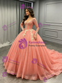 Oragen Tulle Long Sleeve Quinceanera Dress