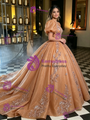 Brown Tulle Puff Sleeve Appliques Quinceanera Dress