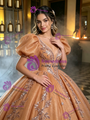 Brown Tulle Puff Sleeve Appliques Quinceanera Dress