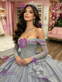 Gray Tulle Appliques Long Sleeve Quinceanera Dress
