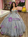Gray Tulle Appliques Long Sleeve Quinceanera Dress