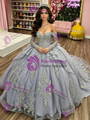 Gray Tulle Appliques Long Sleeve Quinceanera Dress