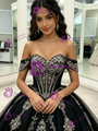Black Tulle Off the Shoulder Appliques Quinceanera Dress