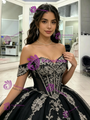 Black Tulle Off the Shoulder Appliques Quinceanera Dress