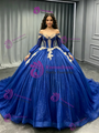 Blue Tulle Sequins Long Sleeve Quinceanera Dress