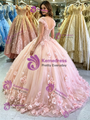 Pink Ball Gown Tulle Appliques Quinceanera Dress
