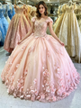 Pink Ball Gown Tulle Appliques Quinceanera Dress