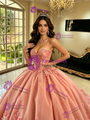 Spaghetti Stras 3D Flower Quinceanera Dress