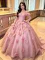 Pink 3D Flower Tulle Long Sleeve Quinceanera Dress