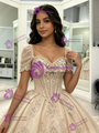Champagne Tulle Short Sleeve Lace Appliques Quinceanera Dress