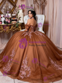Brown Tulle Appliques Bow Quinceanera Dress