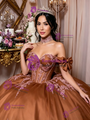 Brown Tulle Appliques Bow Quinceanera Dress