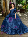 Navy Blue Tulle Short Sleeve Appliques Quinceanera Dress