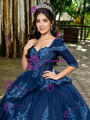 Navy Blue Tulle Short Sleeve Appliques Quinceanera Dress