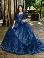 Navy Blue Tulle Short Sleeve Appliques Quinceanera Dress