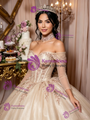 Champagne Tulle Appliques Quinceanera Dress