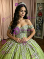 Green Tulle Off the Shoulder Quinceanera Dress