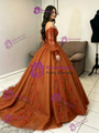 Brown Tulle Long Sleeve Appliques Quinceanera Dress